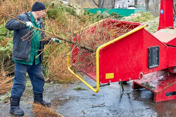 В Старом Крюково продолжается прием использованных новогодних елок