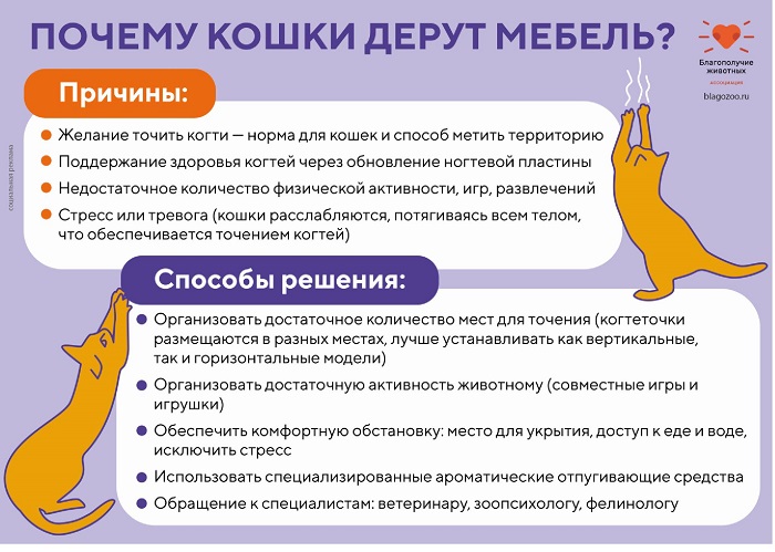 Собаки, кошки - 0003.jpg