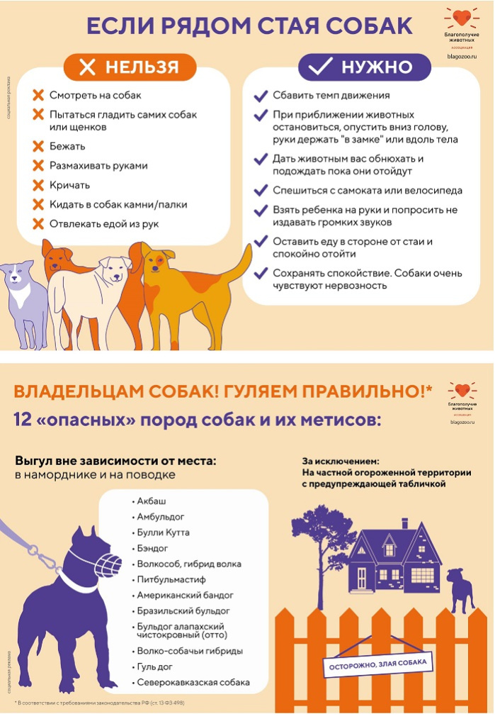 Собаки, кошки - 0001.jpg