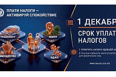 Что делать, если налоговое уведомление не получено
