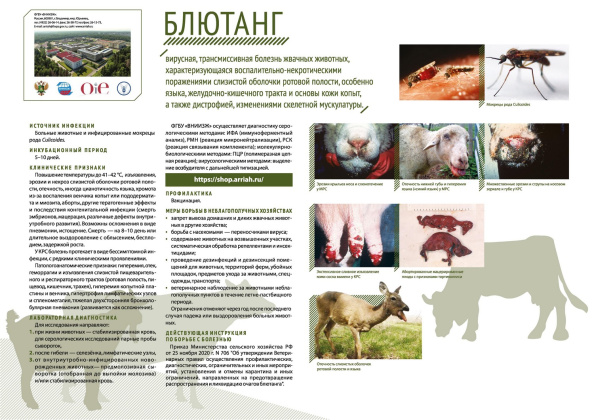 Untitled.FR12 - 0002.jpg