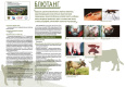 Untitled.FR12 - 0002.jpg