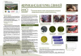 Untitled.FR12 - 0001.jpg