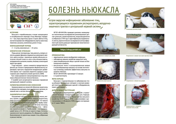 Untitled.FR12 - 0003.jpg