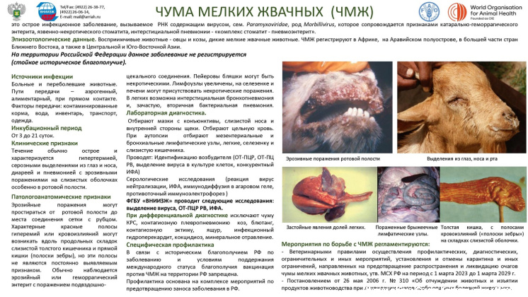 Untitled.FR12 - 0011.jpg