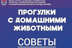 Прогулки с домашними животными: бережём себя и любимца